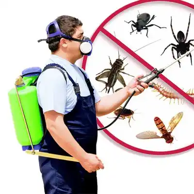 pest control Ranchos de Taos